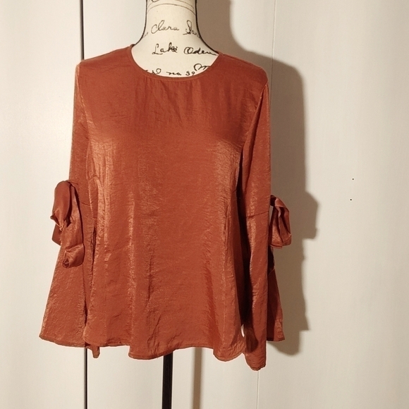 Caramela- Womens Rust Satin Top Statement Tie sleeve Soft Neutral Sz. Medium - Picture 1 of 9